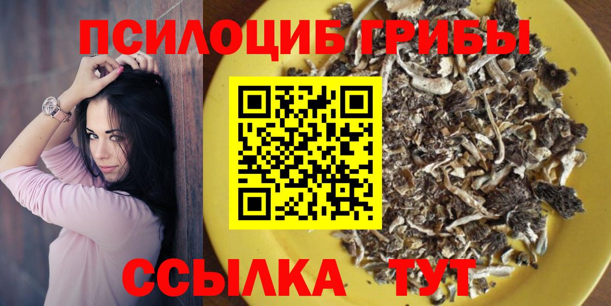 Псилоцибиновые грибы GOLDEN TEACHER  Вход с VPN  Большой Камень 